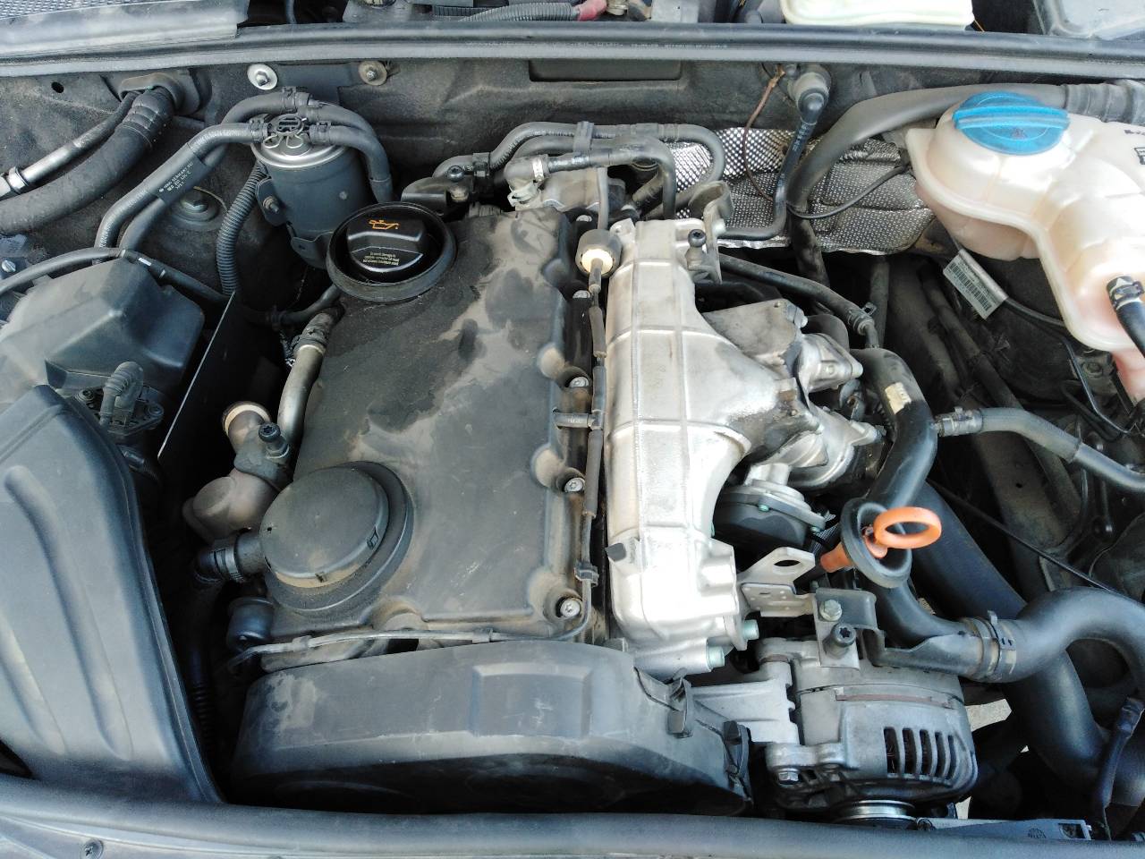 AUDI A4 B6/8E (2000-2005) Power Steering Pump 8E0145155N, P3-B4-13-3 23287683