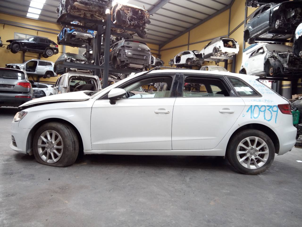 AUDI A3 8V (2012-2020) Заден ляв предпазен колан 21794422