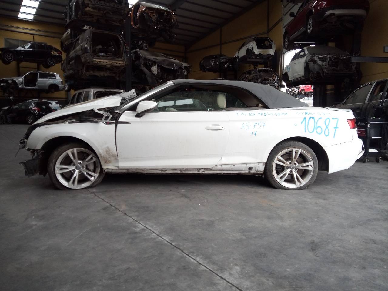 AUDI A5 F5 (2016-2024) Πίσω αριστερό αμορτισέρ 26267775