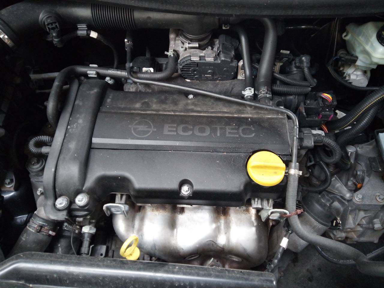 OPEL Corsa D (2006-2020) Моторчик заднего стеклоочистителя 53027312, 13163029 24064381