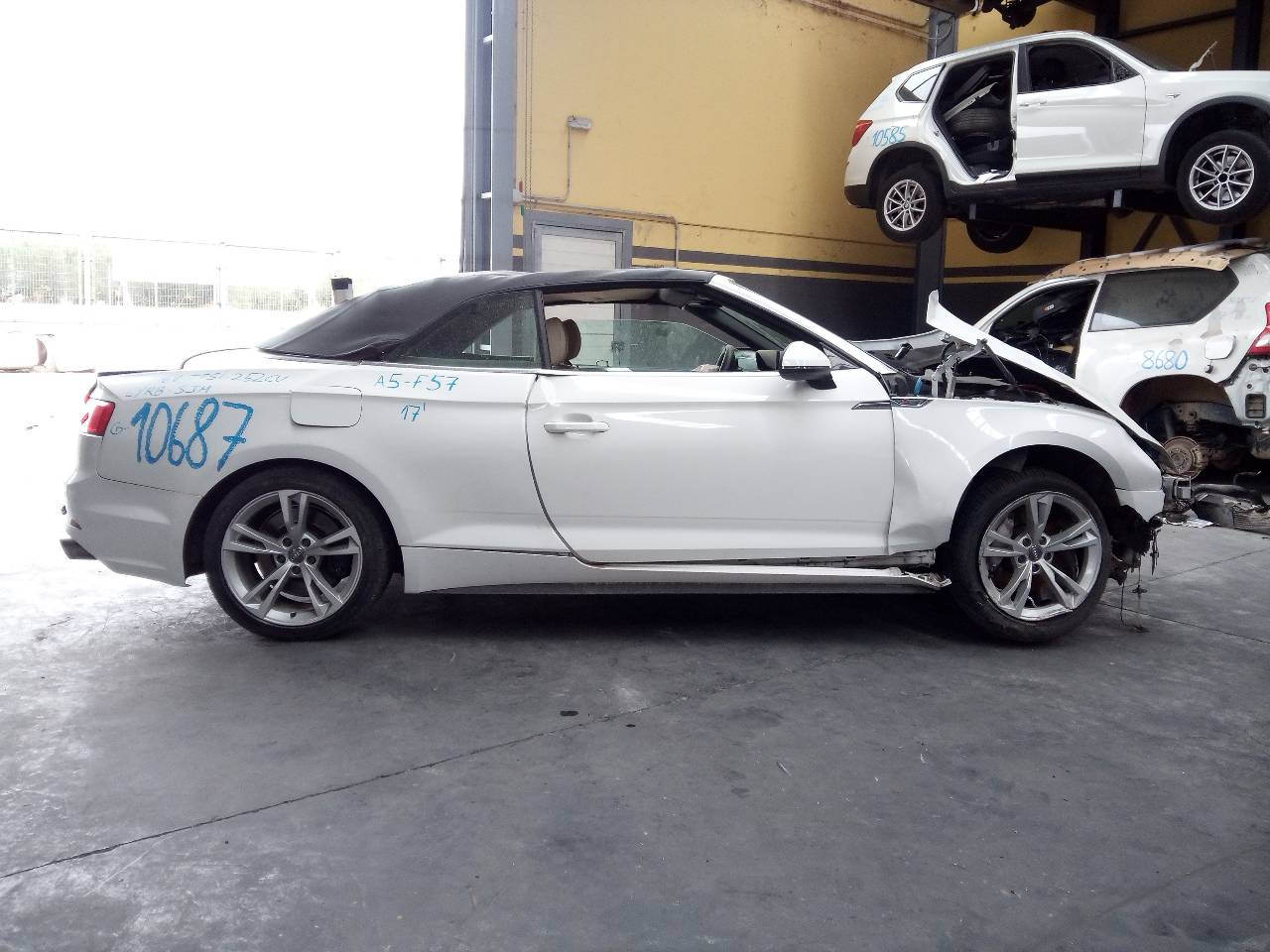 AUDI A5 F5 (2016-2024) Πίσω αριστερό αμορτισέρ 26267775