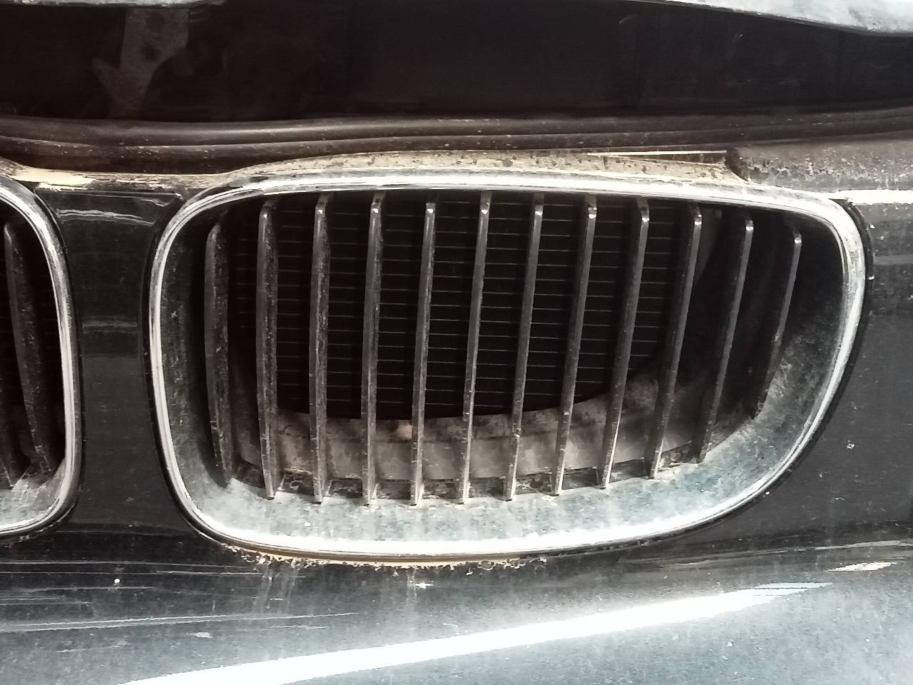 BMW 1 Series E81/E82/E87/E88 (2004-2013) Priekinės radiatoriaus grotelės 21829162