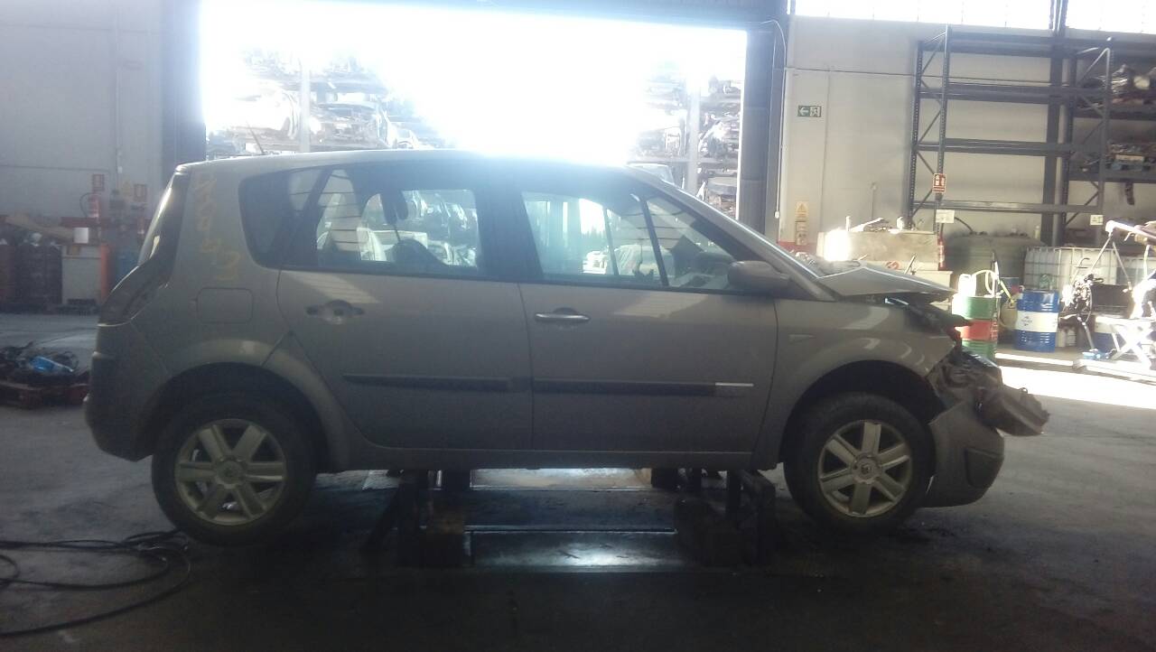 RENAULT Scenic 2 generation (2003-2010) Стеклоподъемник задней правой двери 440726F, 400750H, E1-A1-48-1 21828040