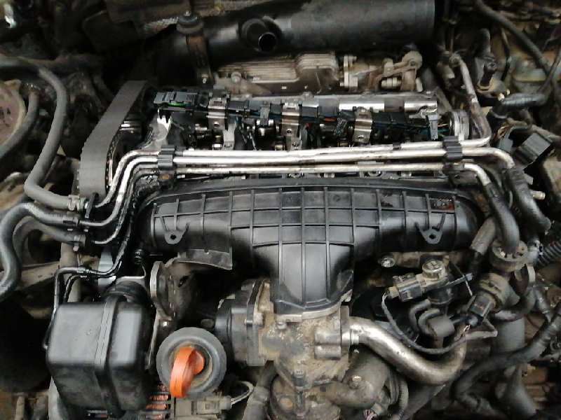 VOLKSWAGEN Passat Variant 1 generation (2010-2024) EGR vārsts 03G131501, P1-A2-7 18549404