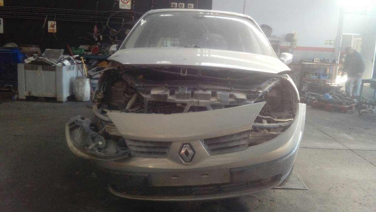 RENAULT Scenic 2 generation (2003-2010) Стеклоподъемник задней правой двери 440726F, 400750H, E1-A1-48-1 21828040