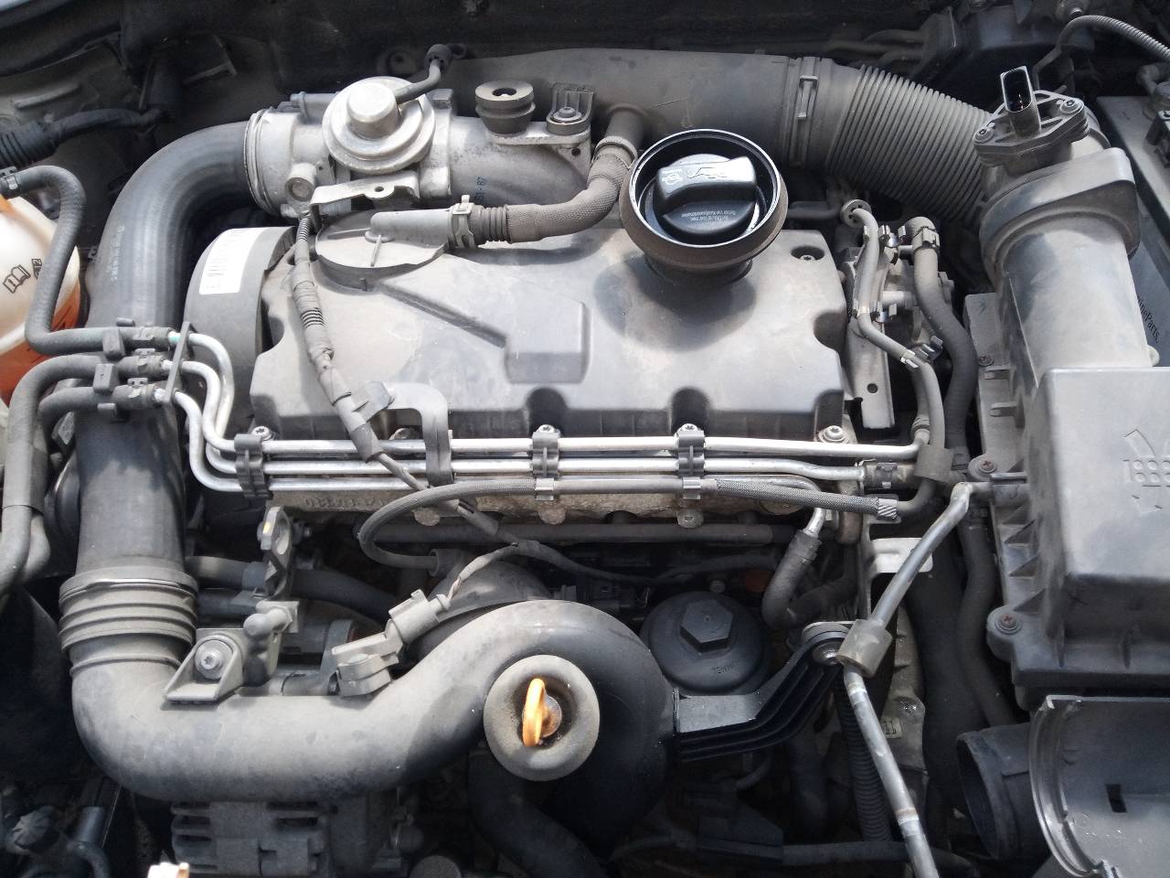 NISSAN Leon 2 generation (2005-2012) Kuplungpedál 20954266