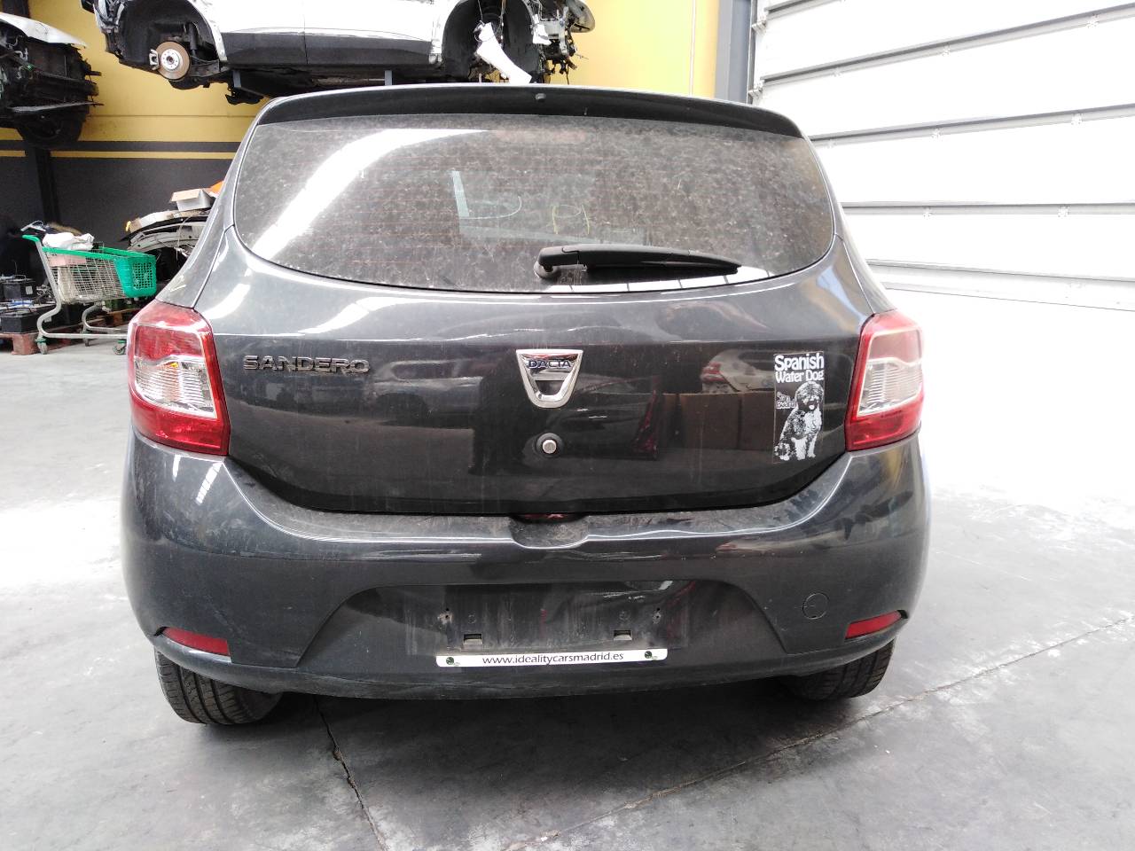 DACIA Sandero 2 generation (2013-2020) Priekinių dešinių durų stiklo pakelėjas 807209299R, E1-A1-44-1 21825903