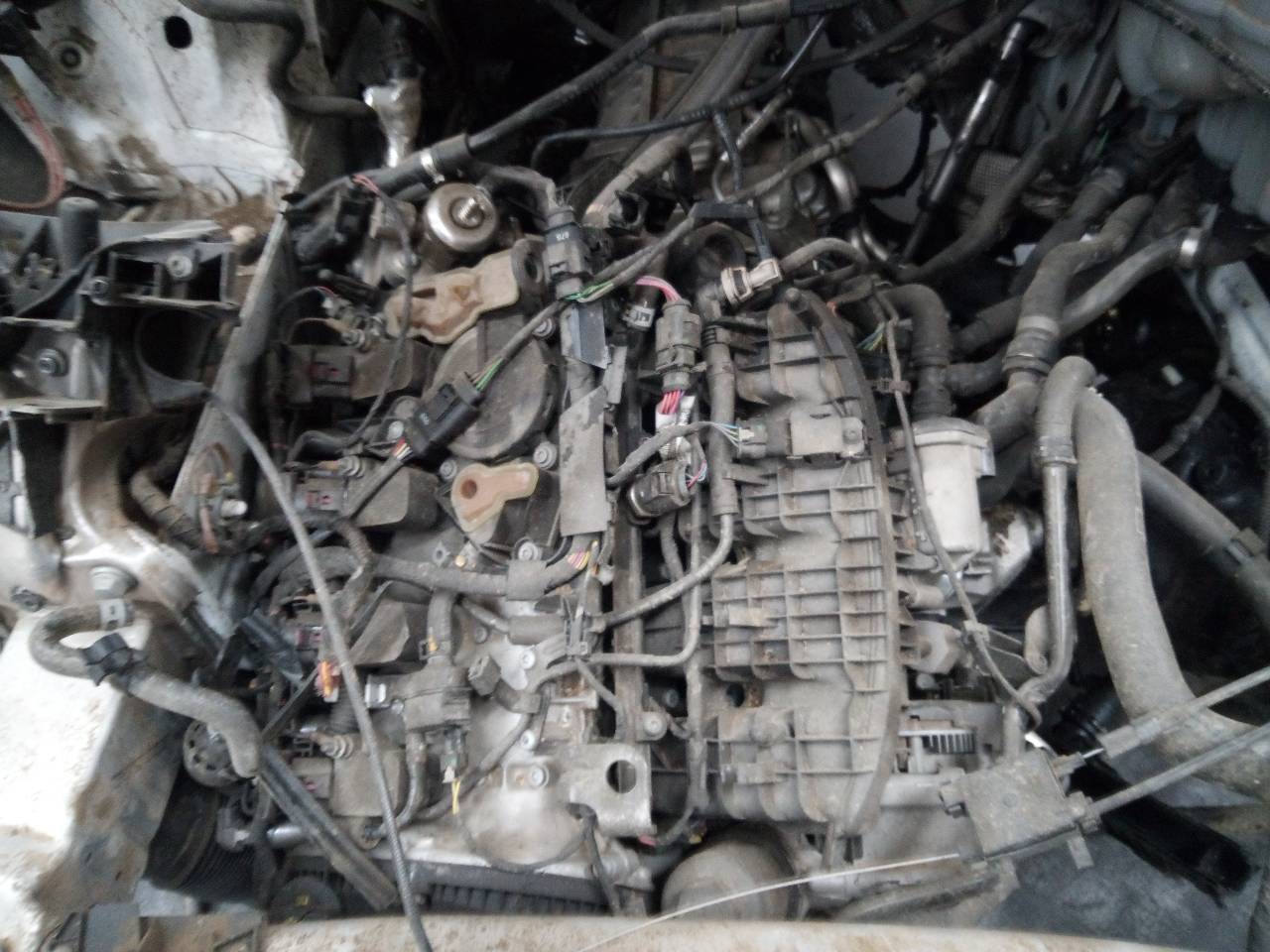 AUDI A5 F5 (2016-2024) Gaspedal 8W1723523,6PV01164201,E2-A1-4-2 26267757