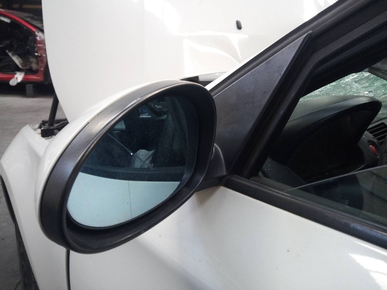 BMW 1 Series F20/F21 (2011-2020) Priekinių kairių durų veidrodis 24104105