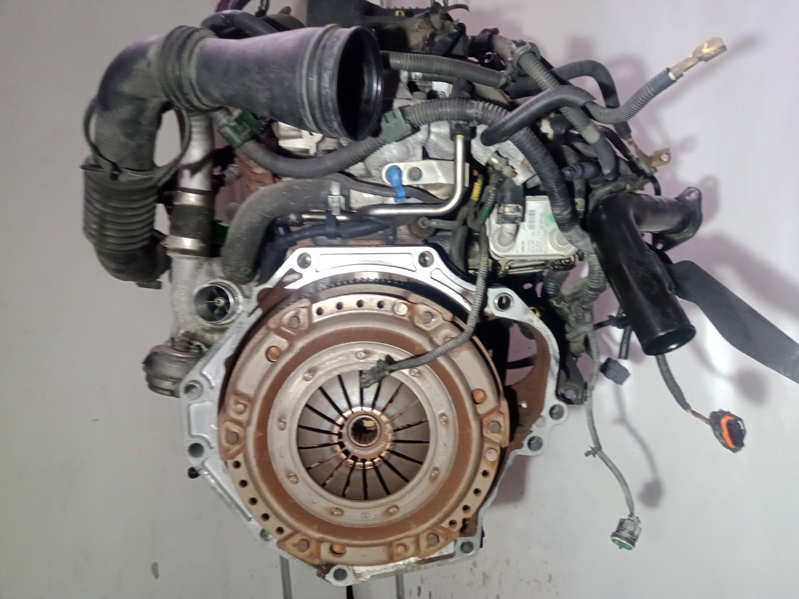 FORD Ranger 4 generation (2012-2024) Engine 4EE2 26599219