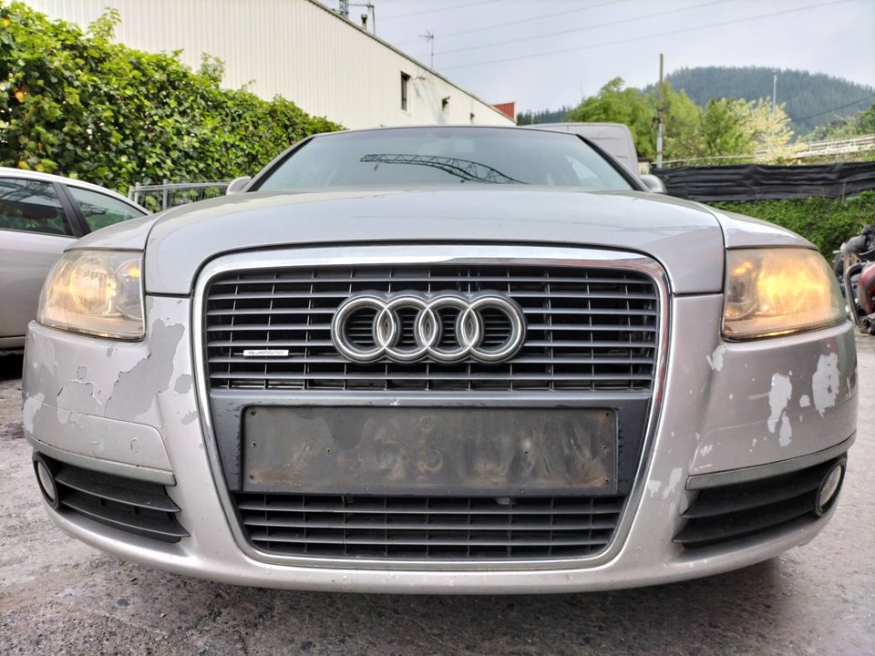 AUDI A6 C6/4F (2004-2011) Ρυθμιστής παραθύρου πίσω δεξιών πορτών 4F0959802C 26493256