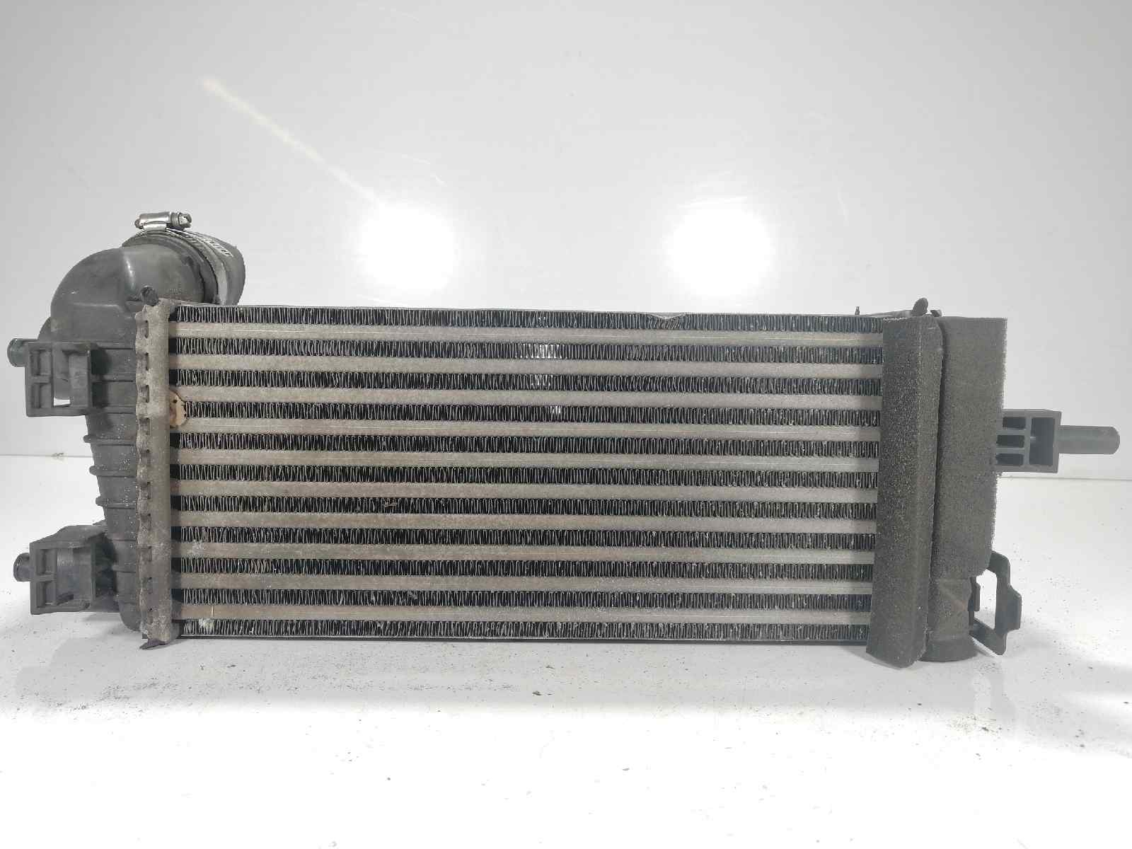 FORD Focus 3 generation (2011-2020) Radiator intercooler CV619L440VC 26599131