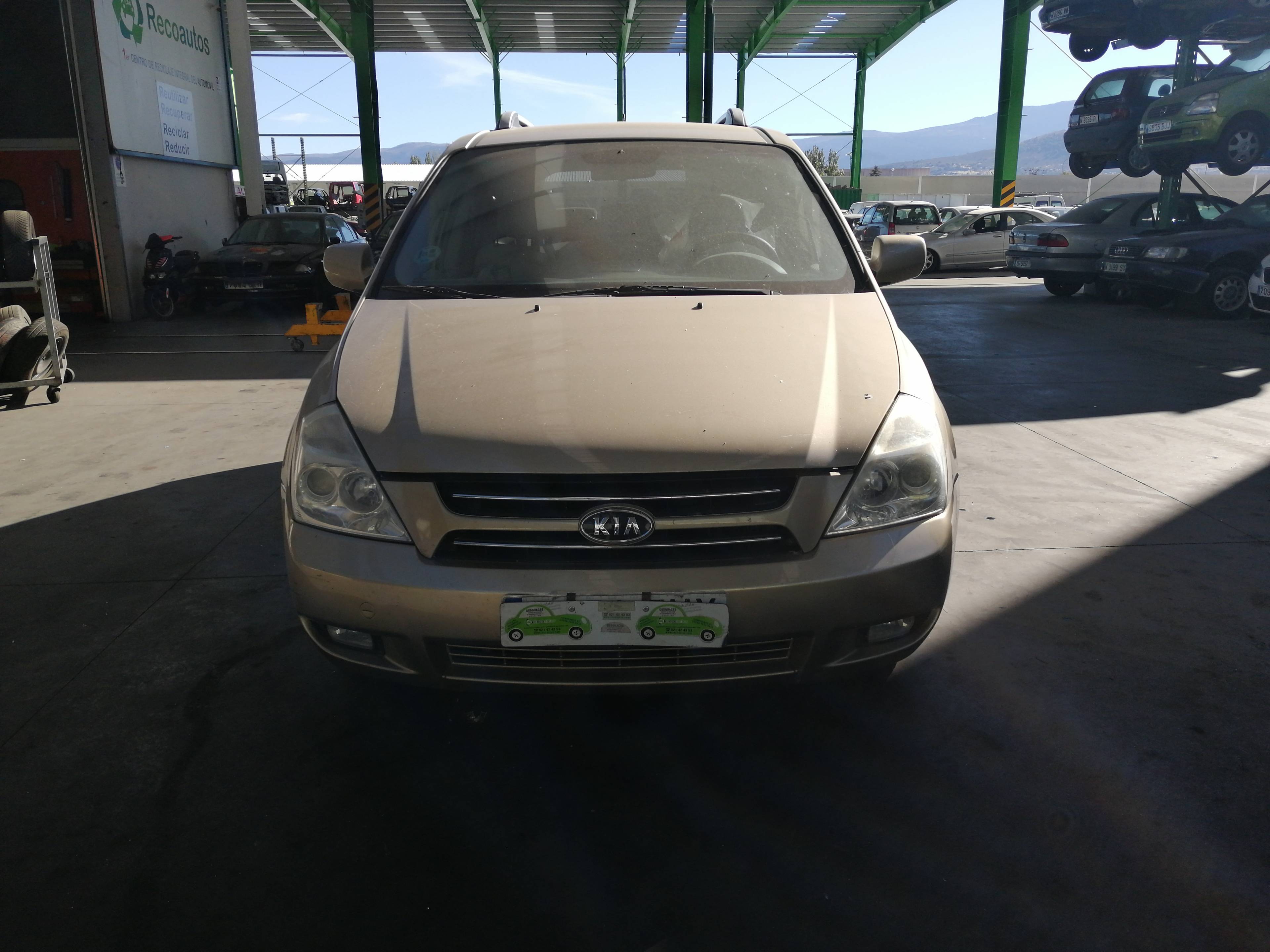 KIA Carnival 2 generation (2006-2010) Clapeta de accelerație 19762693