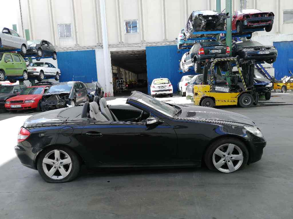 MERCEDES-BENZ SLK-Class R171 (2004-2011) Autres unités de contrôle DELPHI,DELPHI+510080420 24105772