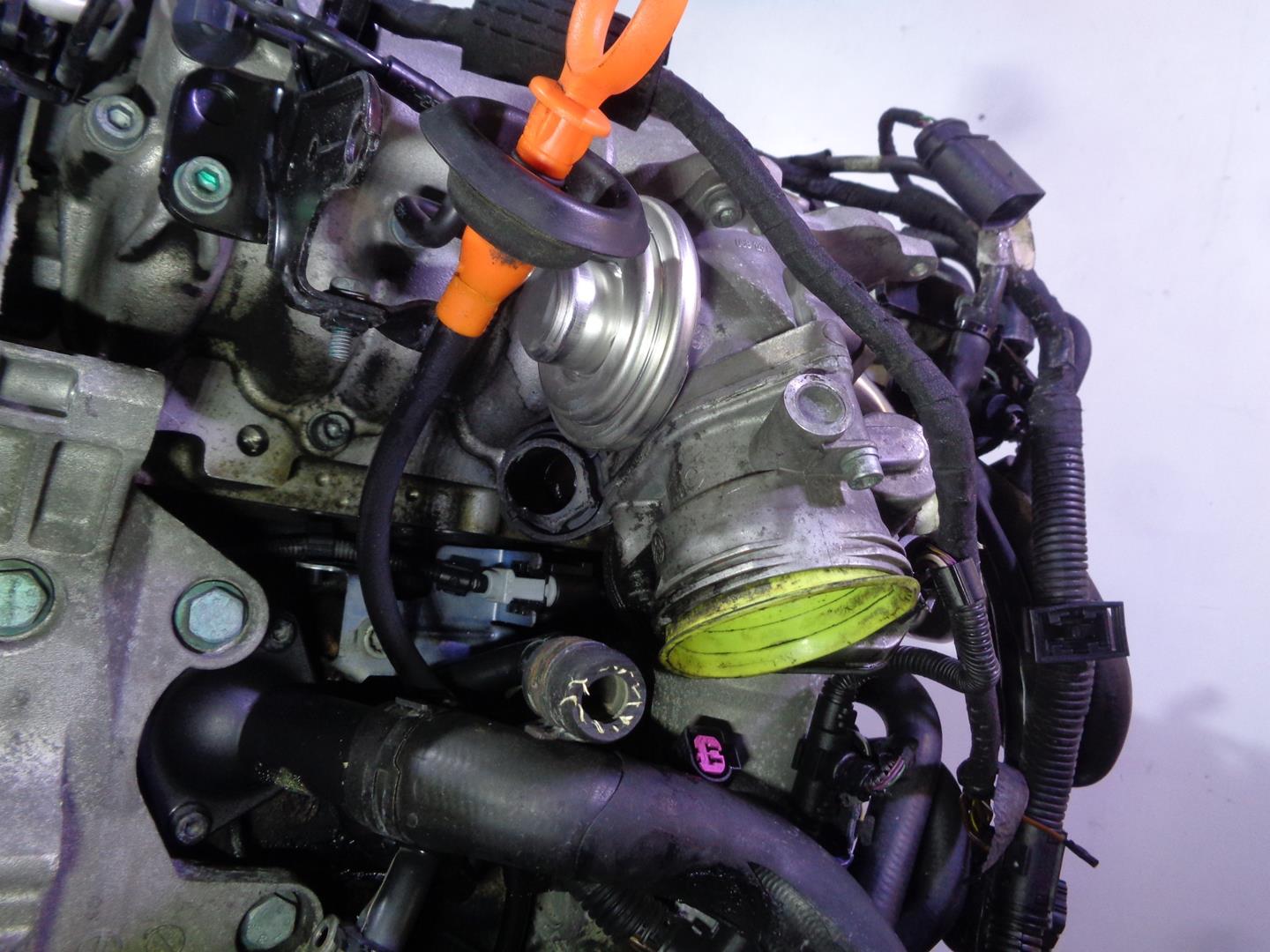 VOLKSWAGEN Passat B6 (2005-2010) Двигатель BKP, 037034, 03G100098CX 24551285