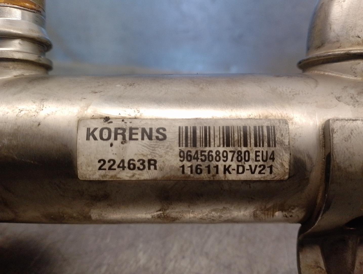 FIAT Refroidisseur EGR 9645689780,22463R,KORENS 24207744