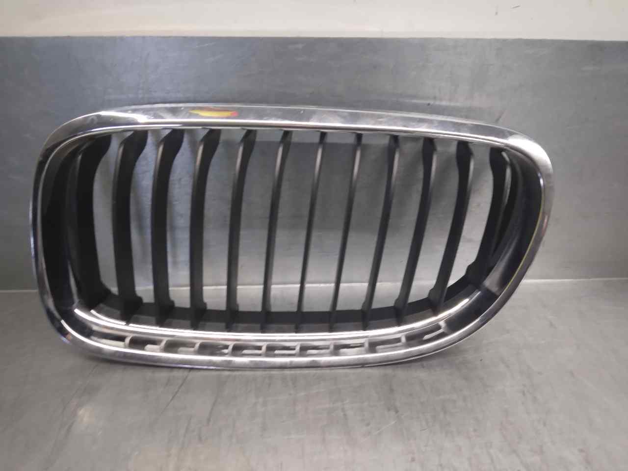 BMW 3 Series E90/E91/E92/E93 (2004-2013) Radiator Grille 51712151895 19851954