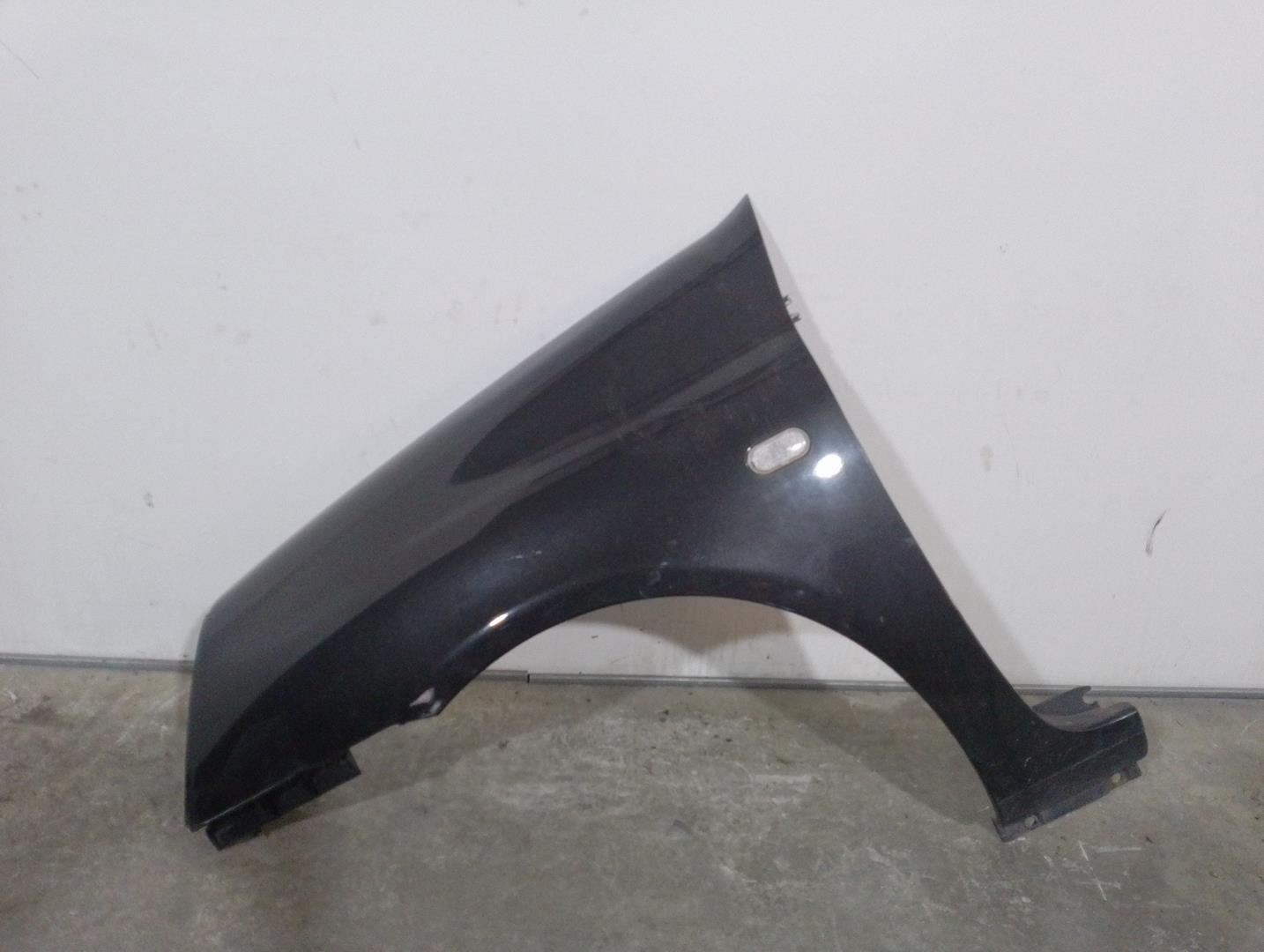 RENAULT Clio 2 generation (1998-2013) Front Left Fender 7750844935, NEGRA 21104926