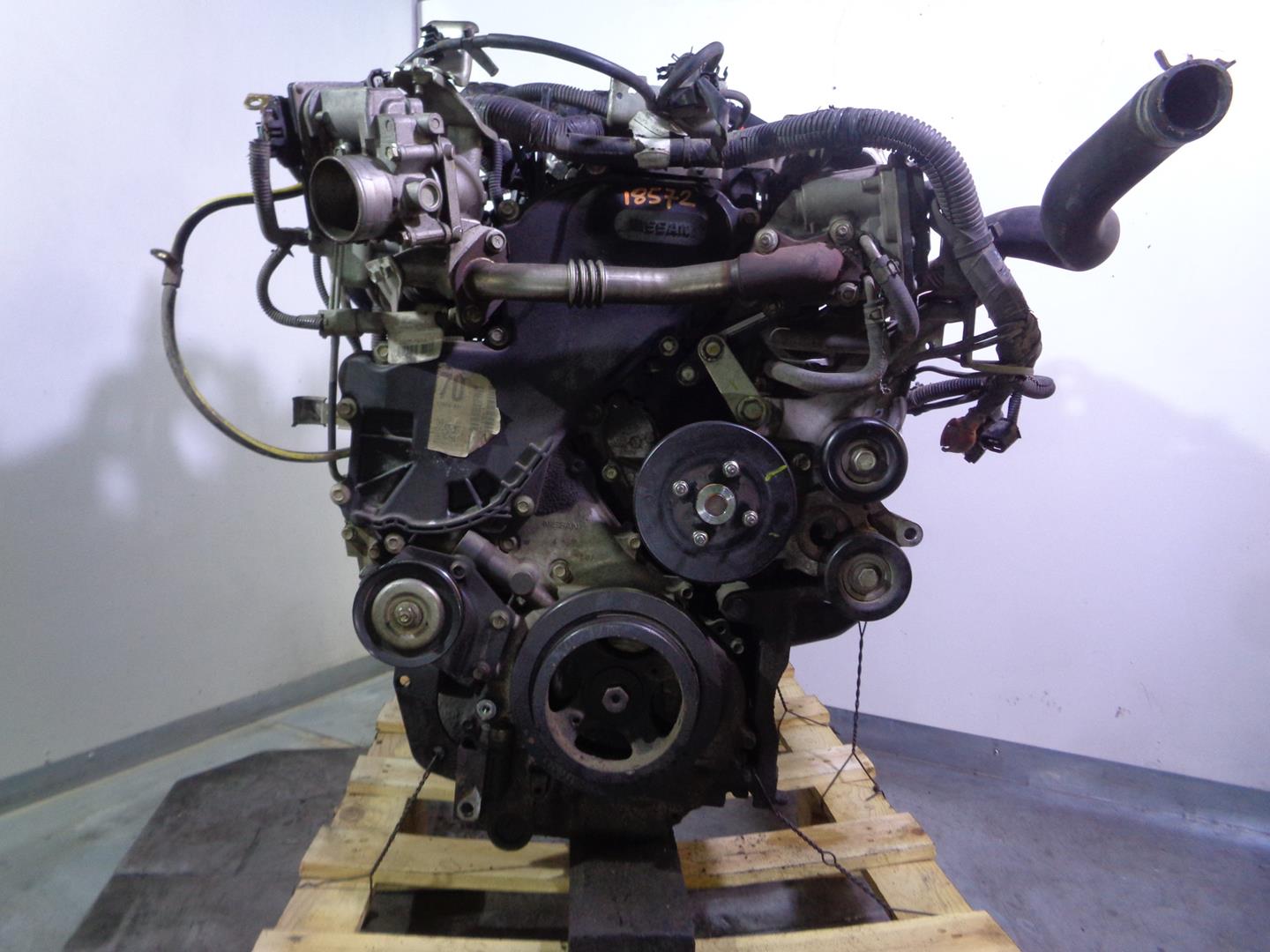 NISSAN NP300 1 generation (2008-2015) Двигатель YD25, 878624B, 101028X01A 24153330