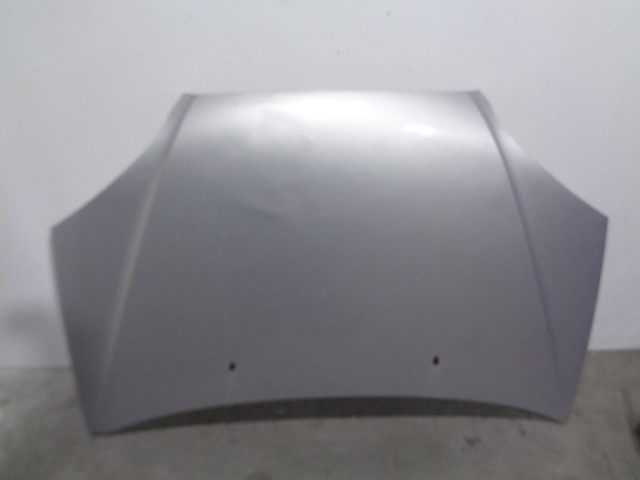 CHEVROLET Rezzo 1 generation (2004-2009) Panser +GRIS 19847956