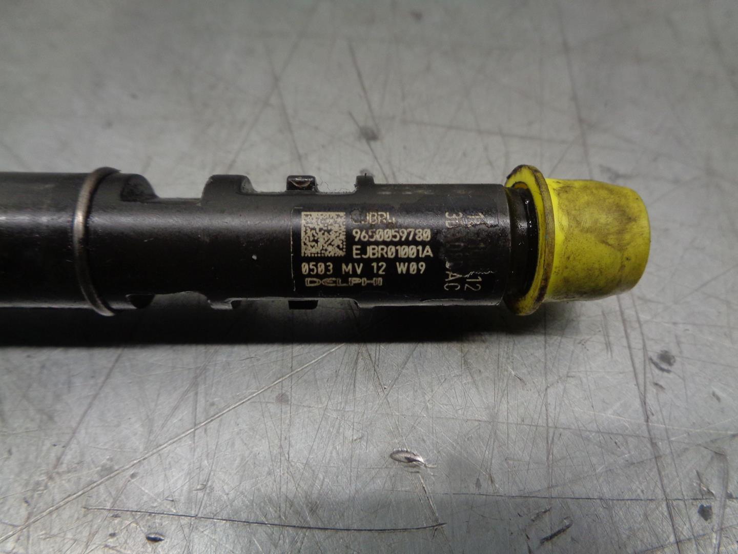 CITROËN C3 1 generation (2002-2010) Fuel Injector 9650059780, EJBR01001A, DELPHI 24202662