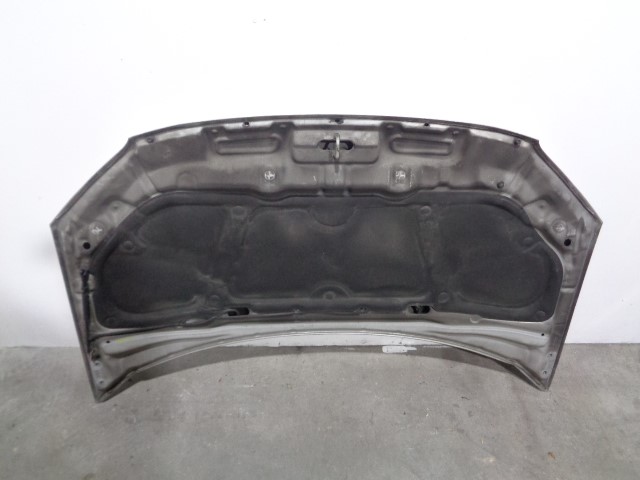 HONDA Getz 1 generation (2002-2011) Panser +GRIS 19839445