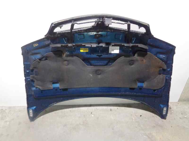 CHEVROLET Trans Sport 1 generation (1996-2006) Bonnet AZUL 24548800