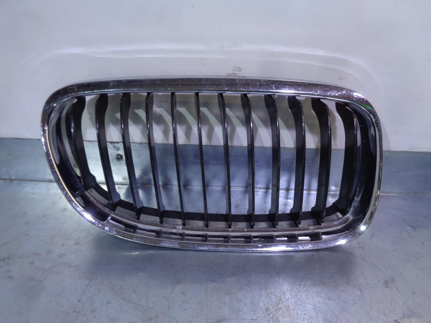 BMW 3 Series E90/E91/E92/E93 (2004-2013) Radiator Grille BM0705901,BM07059032A,TONGYANG 21709903