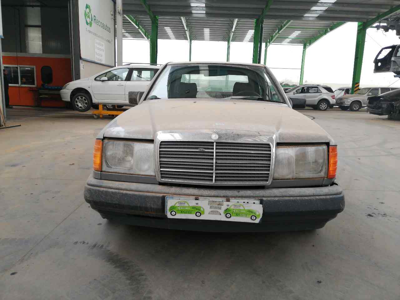 MERCEDES-BENZ Priekšējais labais spārns +GRIS 19794102