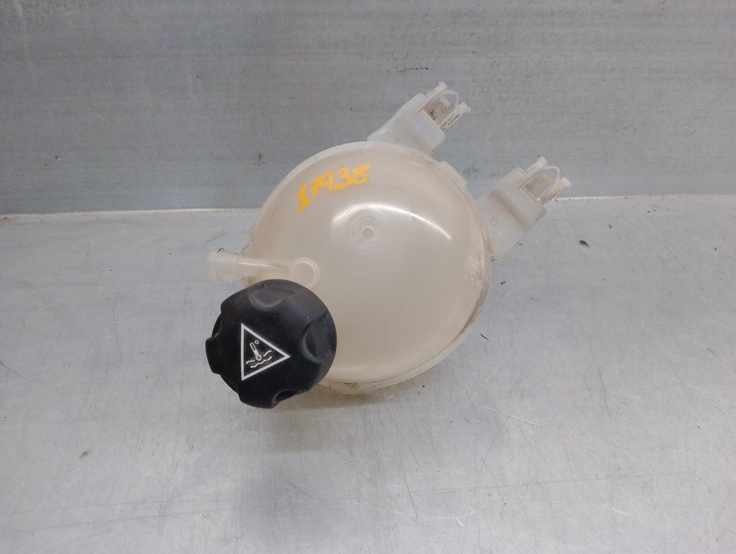 CITROËN C3 2 generation (2009-2016) Expansion Tank 9800777280 19925111