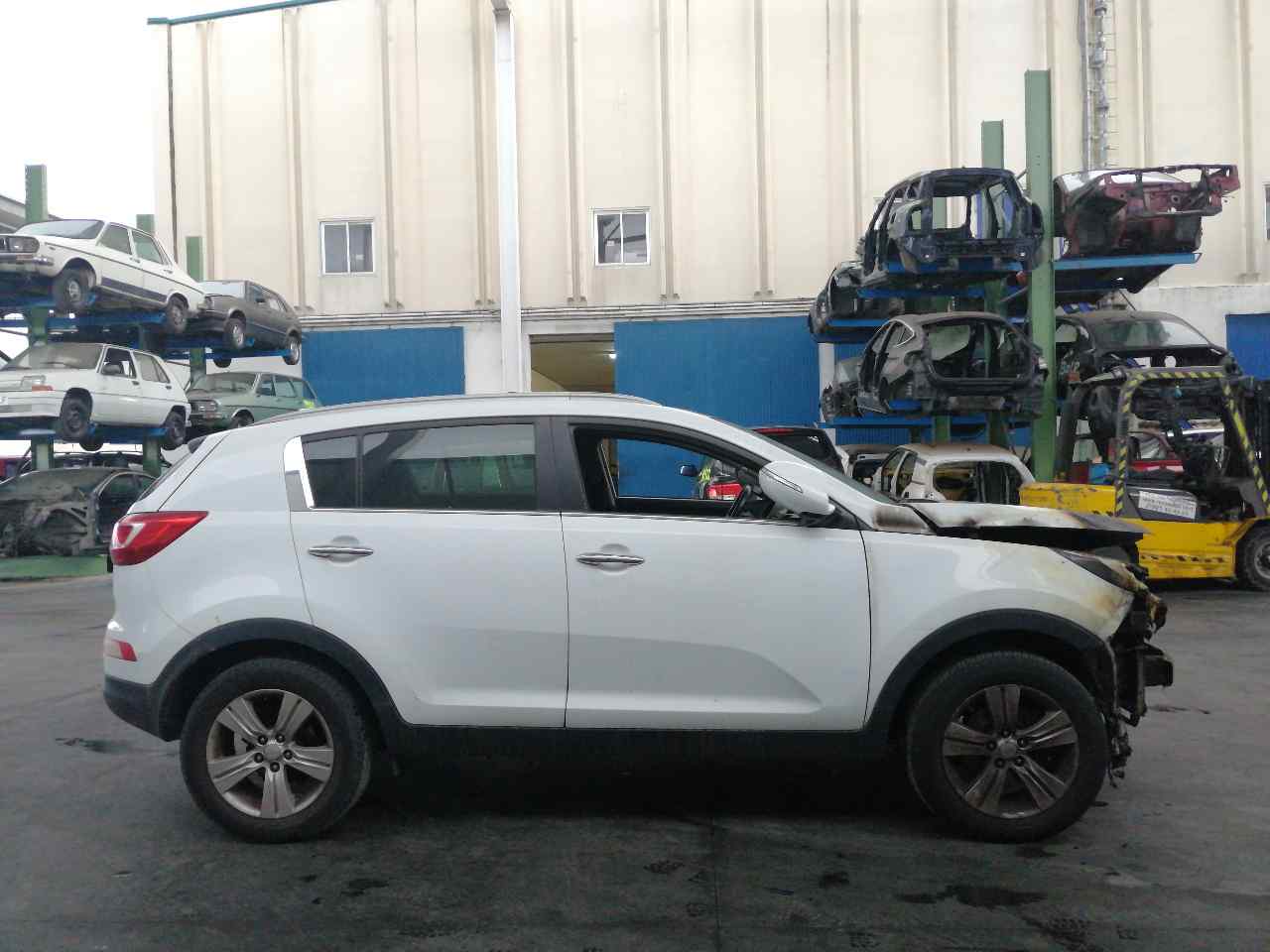 KIA Sportage 3 generation (2010-2015) Priekinis dešinys sparnas +BLANCA 19793335