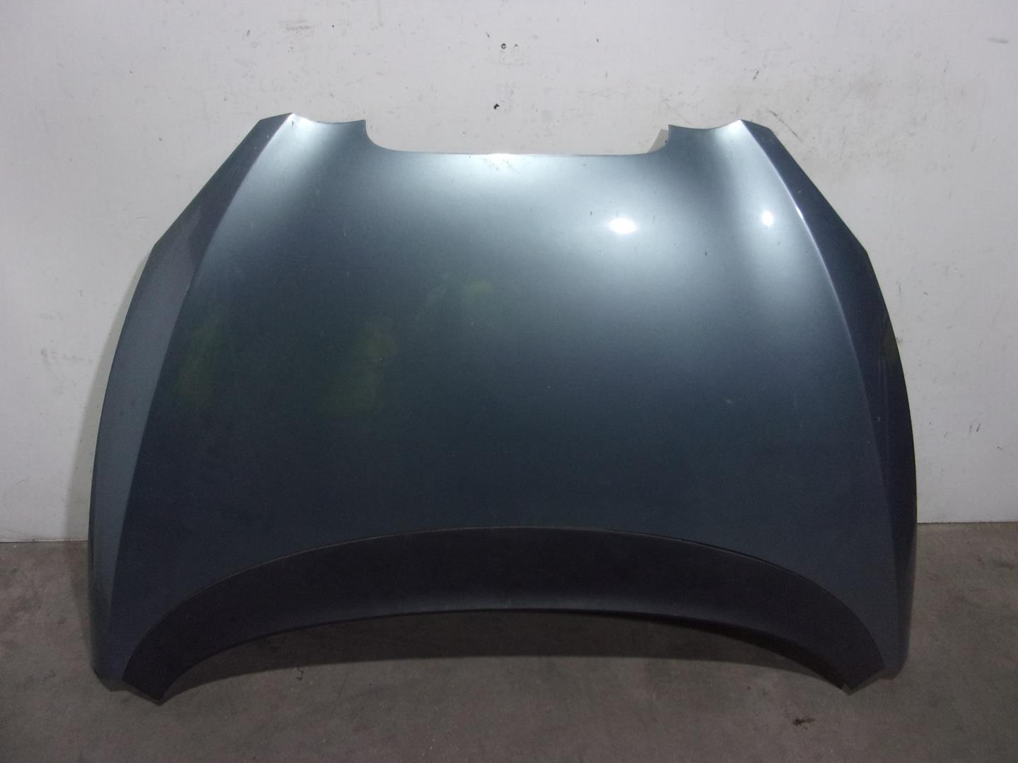 SEAT Toledo 3 generation (2004-2010) Bonnet 5P0823031B, AZULCLARO 24193441