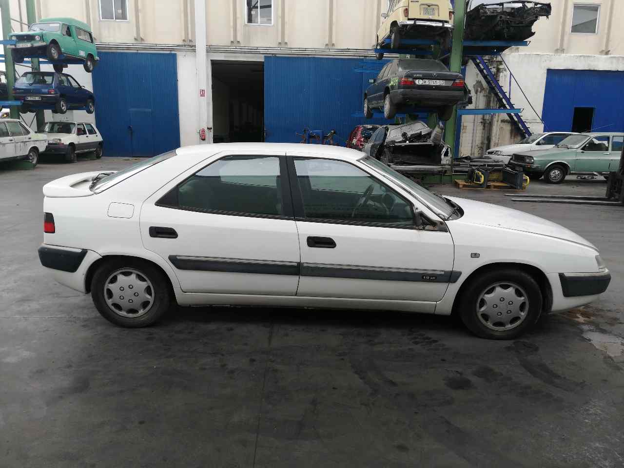 OPEL Xsara 1 generation (1997-2004) Крыло переднее правое BLANCA, 96071169+ 19842256