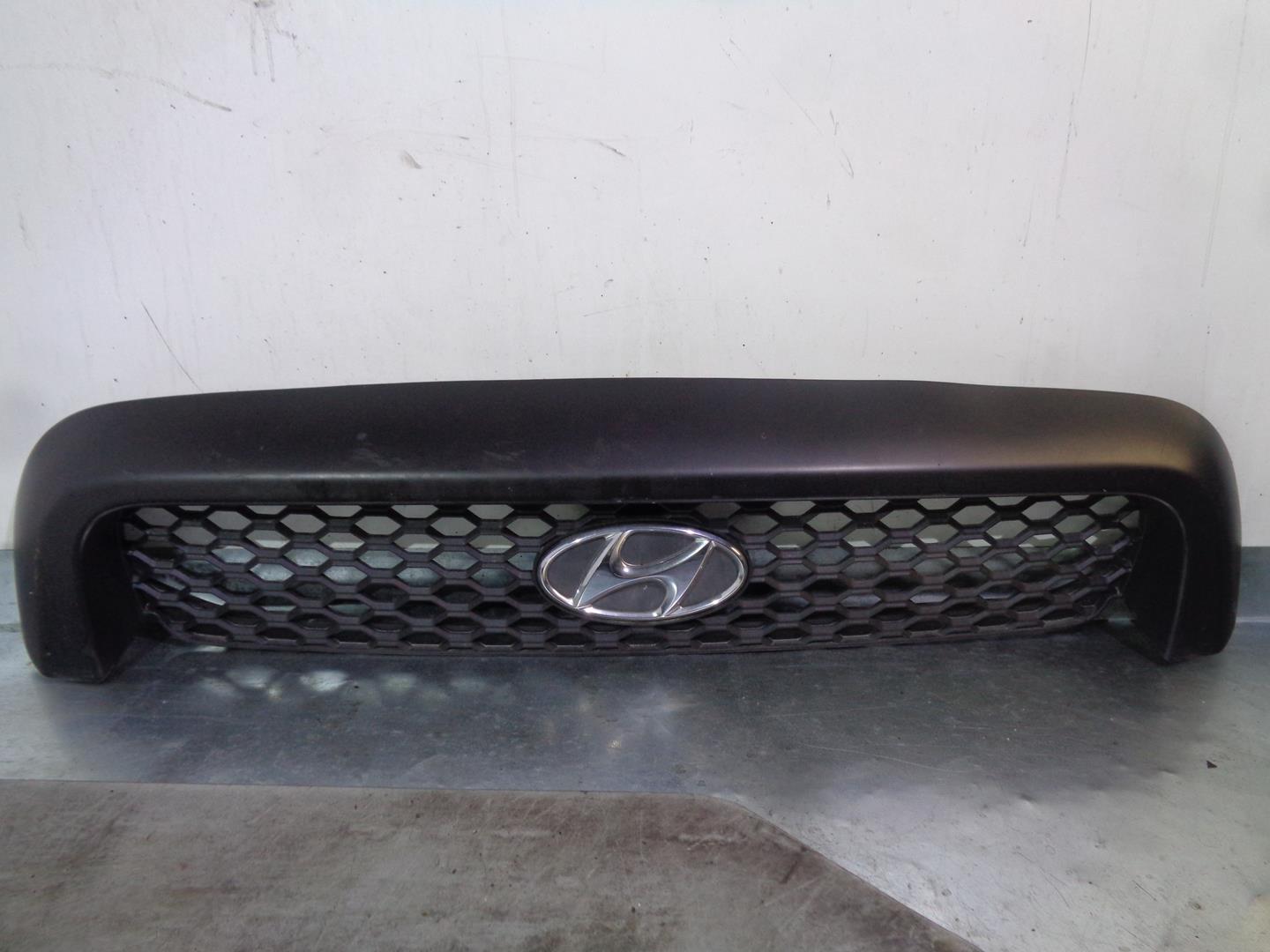 HYUNDAI Santa Fe SM (2000-2013) Radiator Grille 8635126900,8635226900,8635126902 24144502