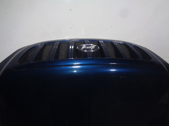 HYUNDAI Terracan 2 generation (2004-2009) Bonnet 79000H1211,AZUL 19925824