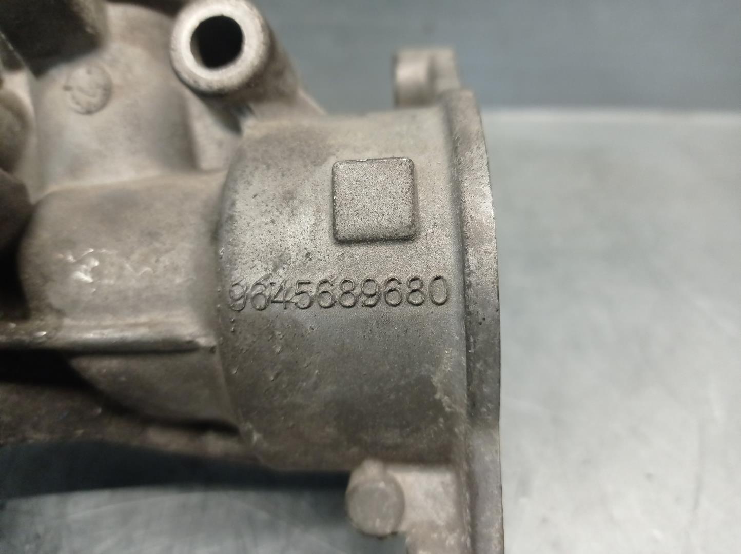 CITROËN C5 1 generation (2001-2008) EGR Valve 9645689680, 25344058, DELPHI 19920678