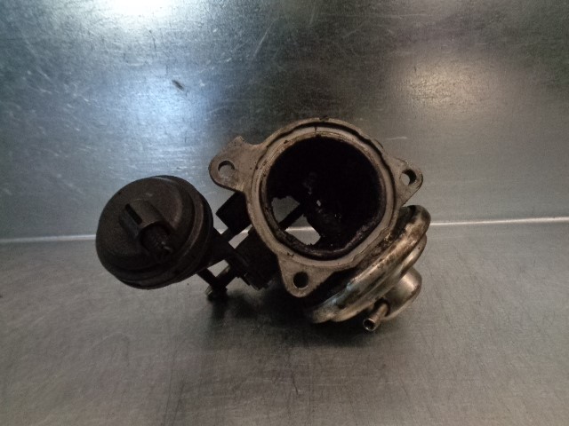 VOLKSWAGEN Bora 1 generation (1998-2005) EGR vārsts 038129637 19784314