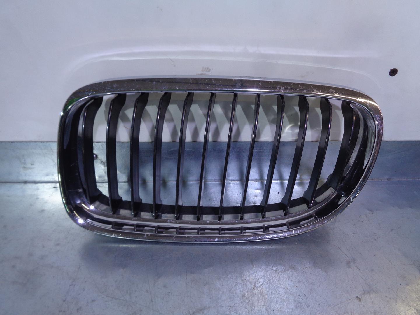 BMW 3 Series E90/E91/E92/E93 (2004-2013) Radiator Grille BM0705901,BM07059022A,TONGYANG 21117691