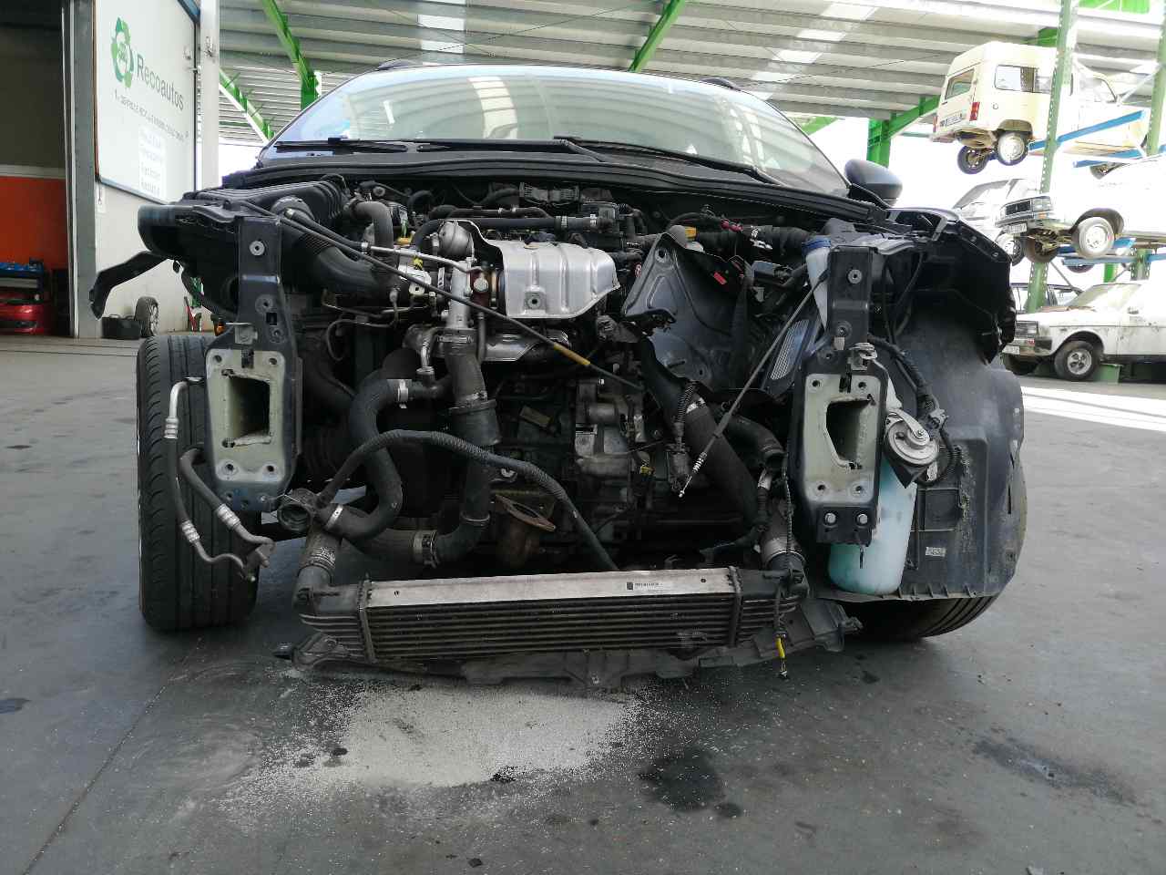 KIA Tipo 2 generation (2015-2024) Bremsecylinder 0204805660,777218+ 19822076