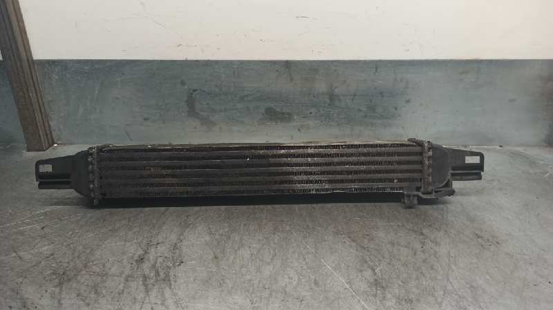 CITROËN Nemo 1 generation (2008-2015) Radiateur de refroidisseur intermédiaire 51790623, L8119001, BEHR 19717566