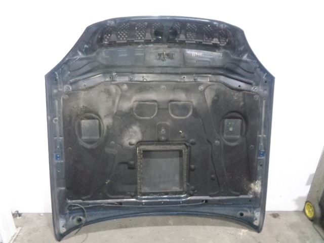 HYUNDAI Terracan 2 generation (2004-2009) Bonnet 79000H1211,AZUL 19925824