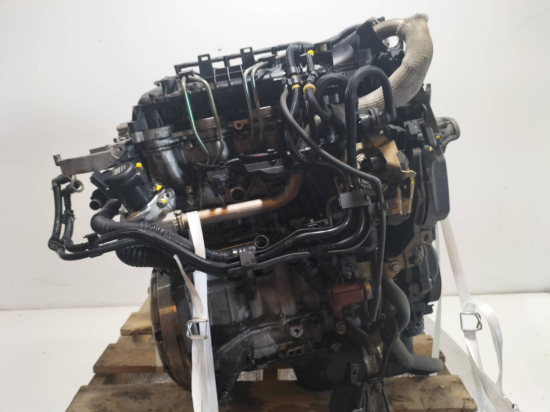 CHEVROLET Focus 2 generation (2004-2011) Engine G8DA 21186946