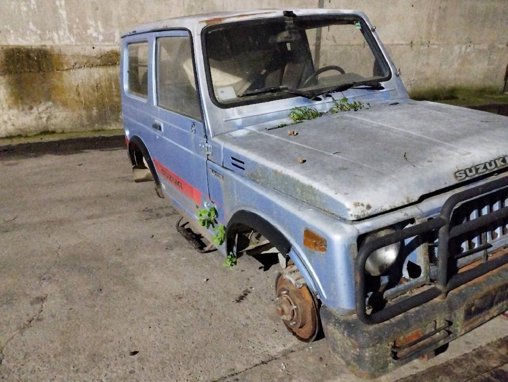 SUZUKI Samurai SJ20 (1981-1998) Топливный насос 25916026