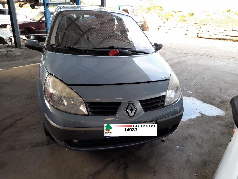 RENAULT Scenic 2 generation (2003-2010) Інші частини тіла 8200076256,DELPHI 19009218