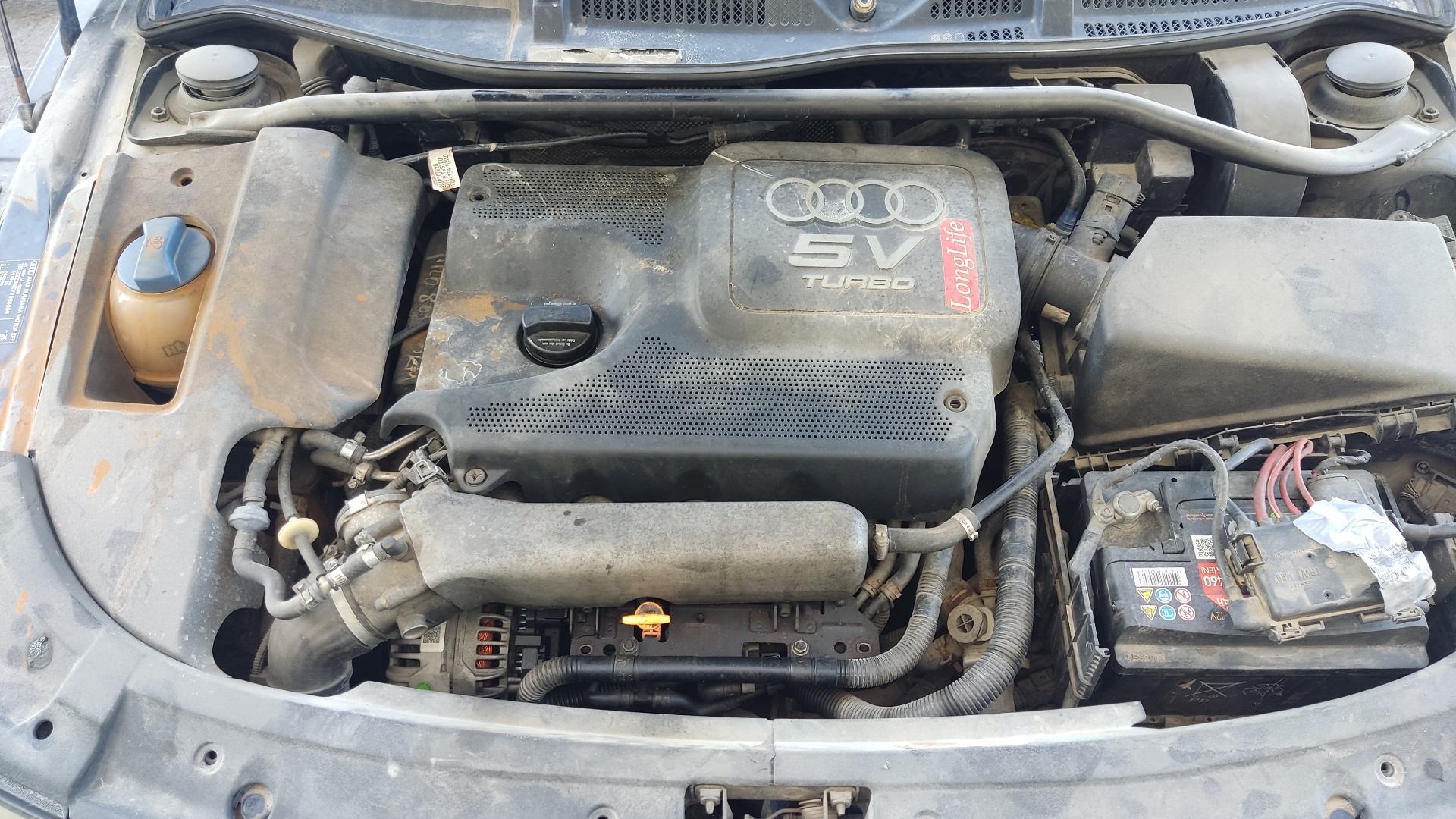 AUDI TT 8N (1998-2006) Шкив коленчатого вала 06A105243E 21424852