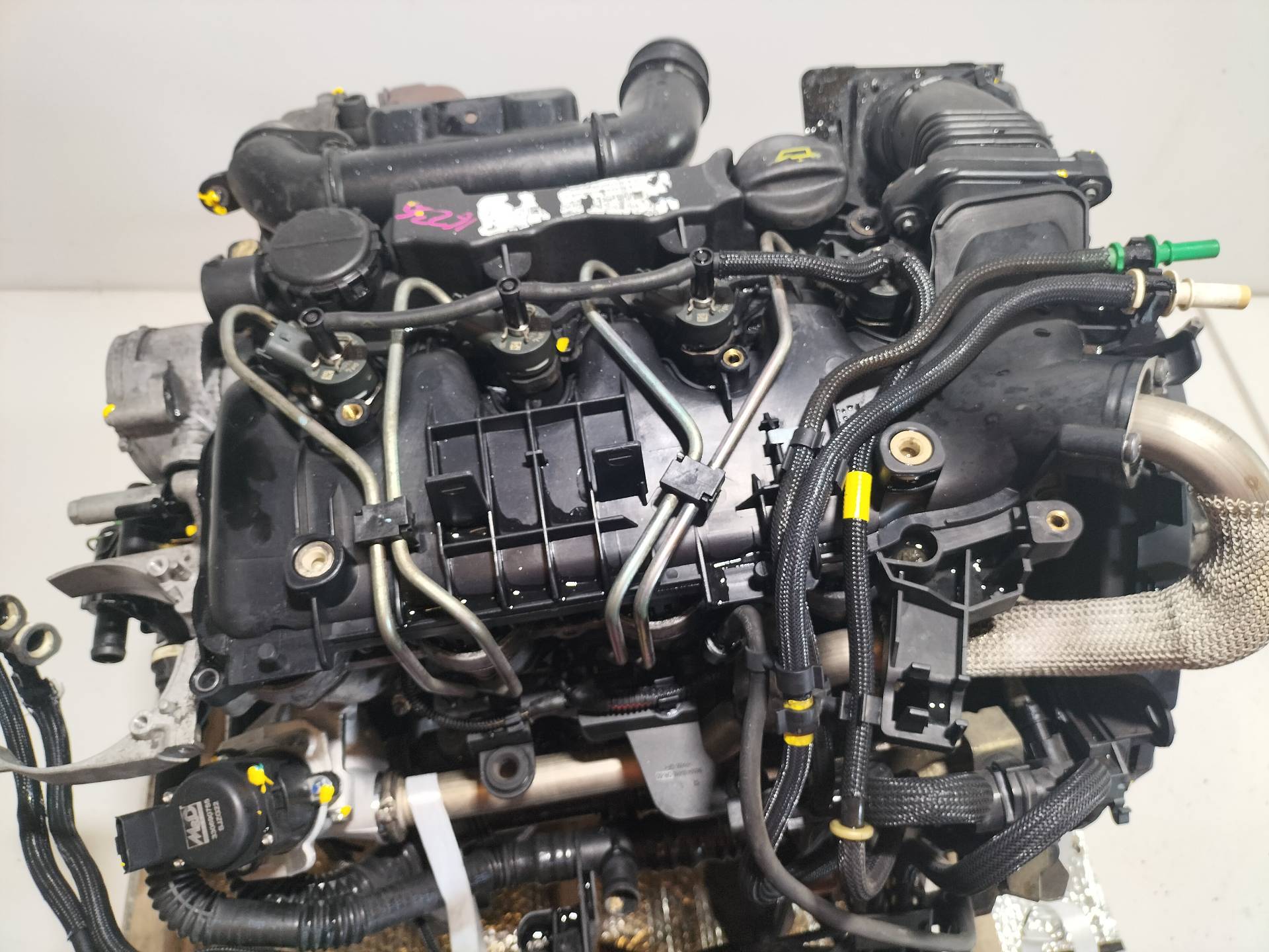 CHEVROLET Focus 2 generation (2004-2011) Engine G8DA 21186946