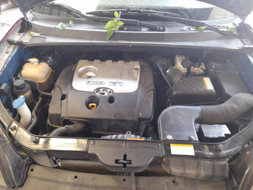 HYUNDAI Tucson 1 generation (2004-2010) Стеклоподъемник передней левой двери 824702E010,2PINES 19012424