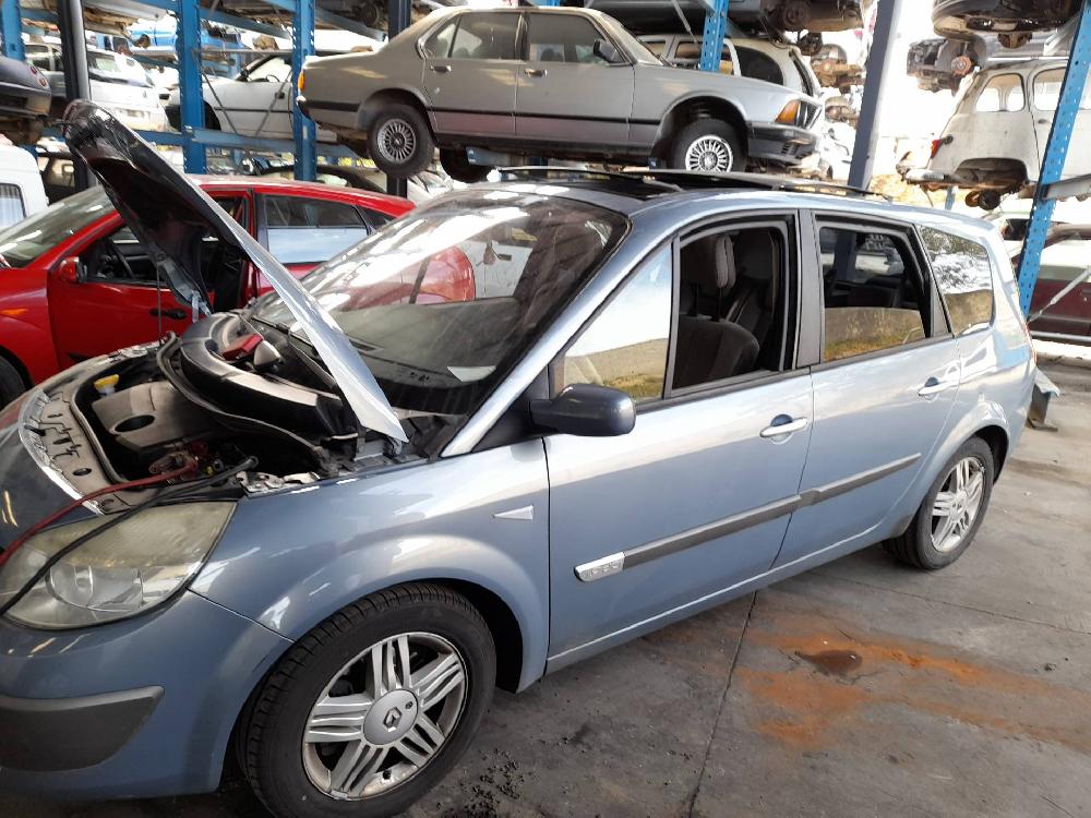 RENAULT Scenic 2 generation (2003-2010) Інші частини тіла 8200076256,DELPHI 19009218